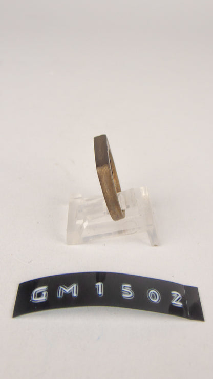 GM 1502