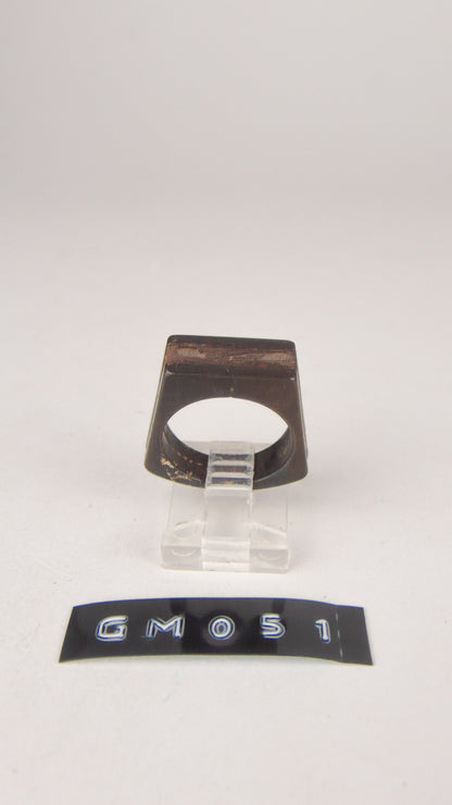 GM 051