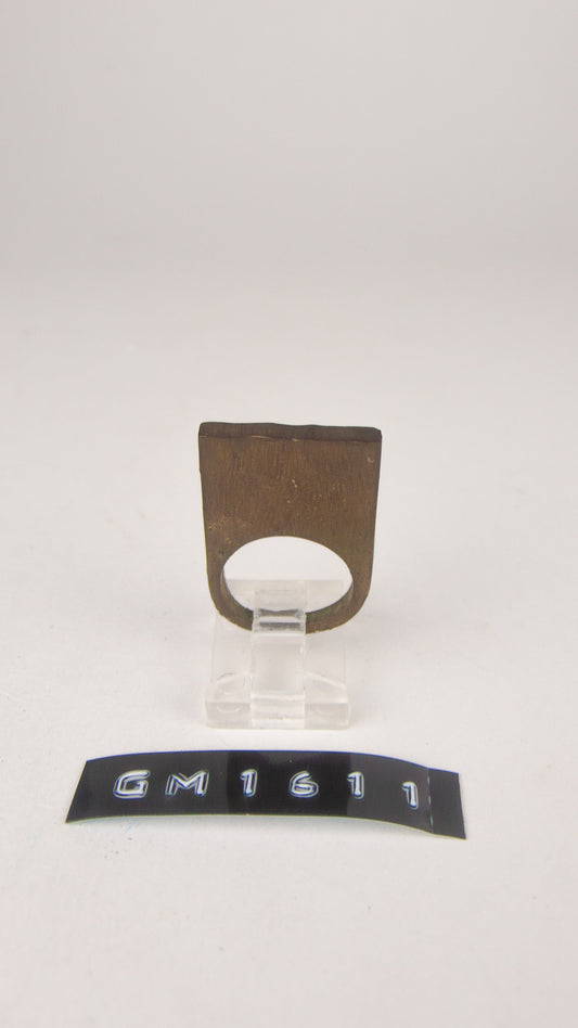GM 1611