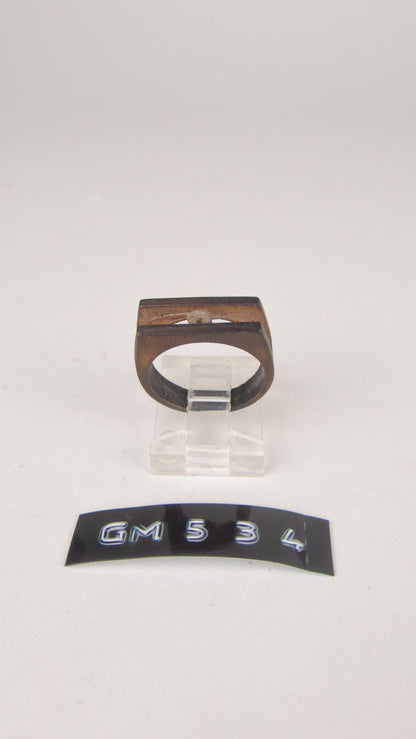 GM 534