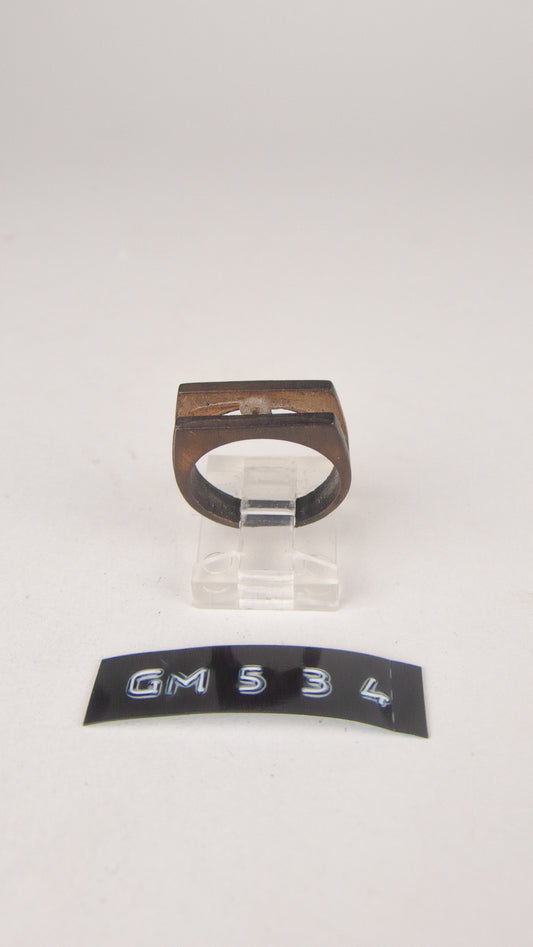 GM 534