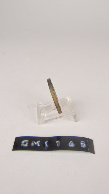 GM 1165