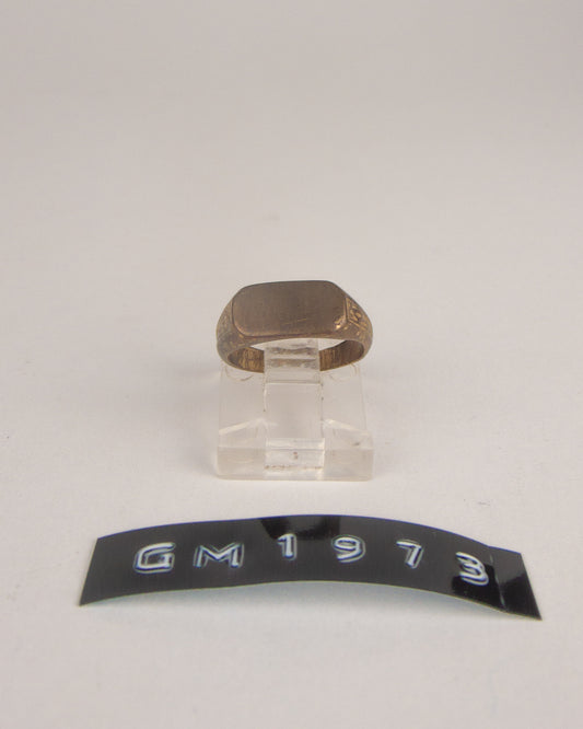 GM 1973