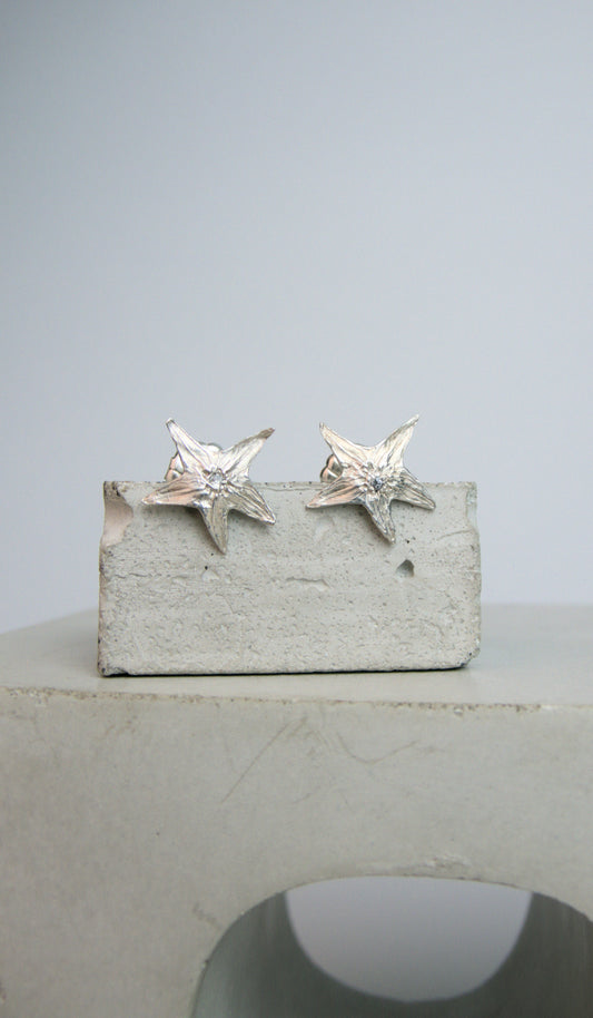 Small Tomato Star Stud Earrings